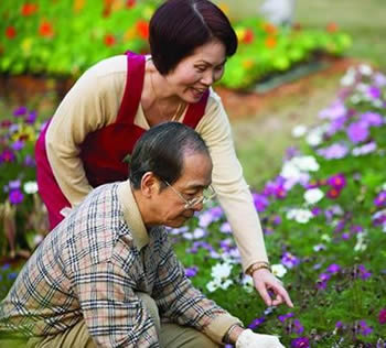 栽花養草也治病